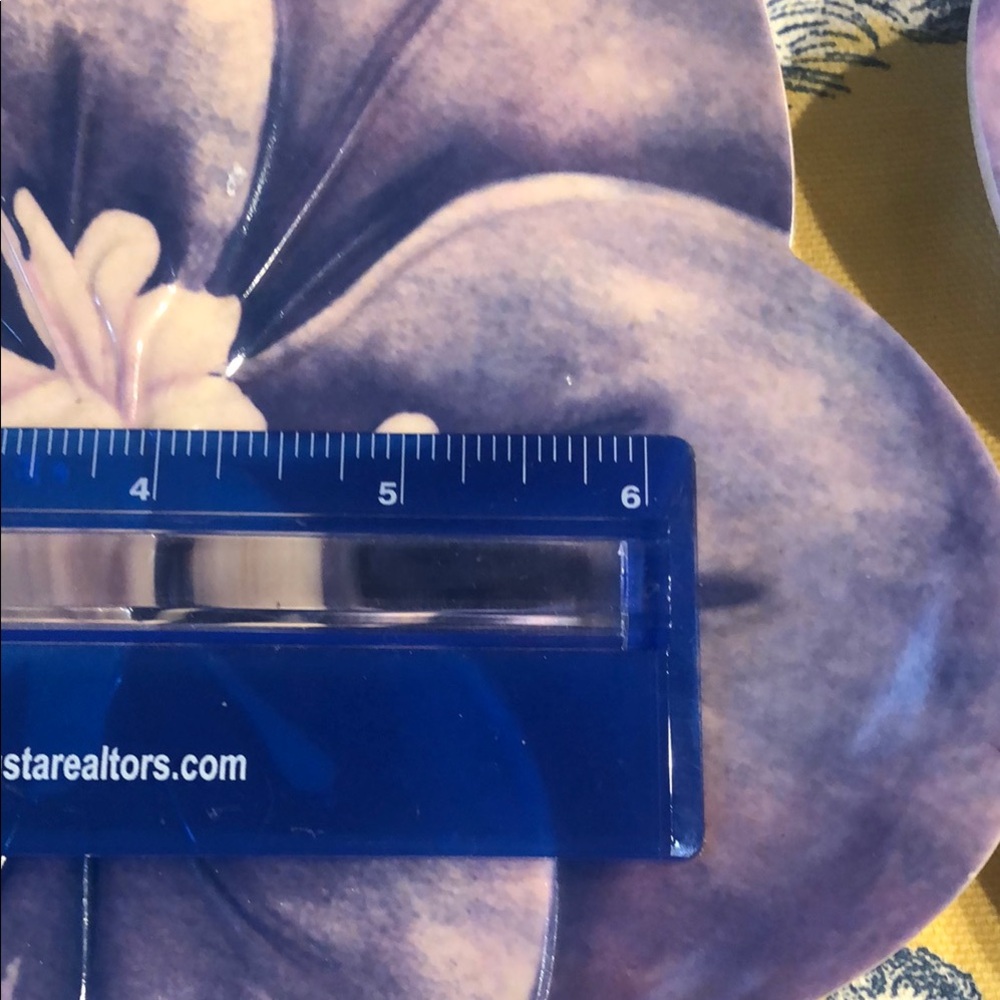 Blue Floral Bamboo plates. 4 total. - Picture 2 of 7